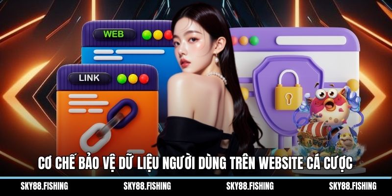 Cơ chế bảo vệ dữ liệu người dùng trên website cá cược